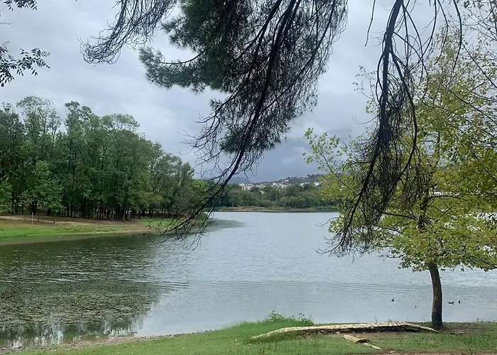 公寓 Perla 地拉那