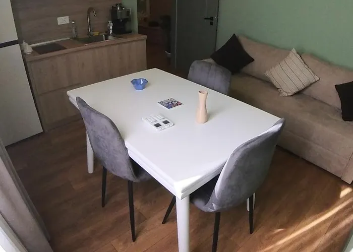 公寓 Perla 地拉那